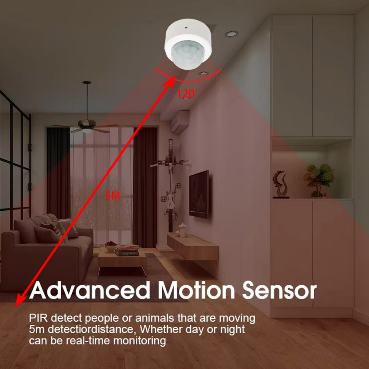 Zigbee PIR Motion Sensor Human - đánh giá và giá Smart Home Wiser