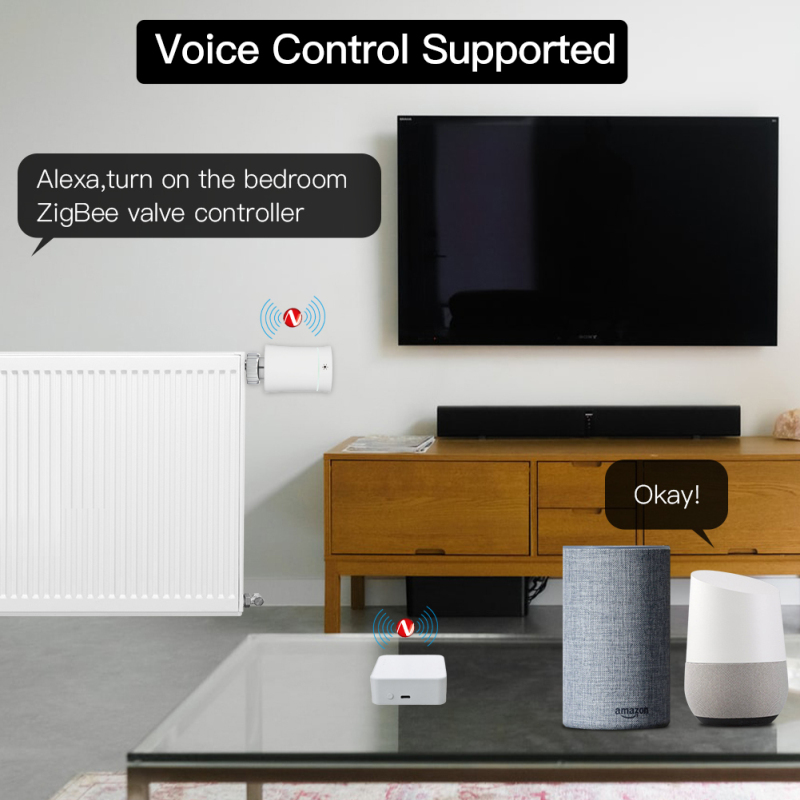 Tuya Thông Minh Cổng Hub Đa Ch - đánh giá và giá Smart Home Hub Matter