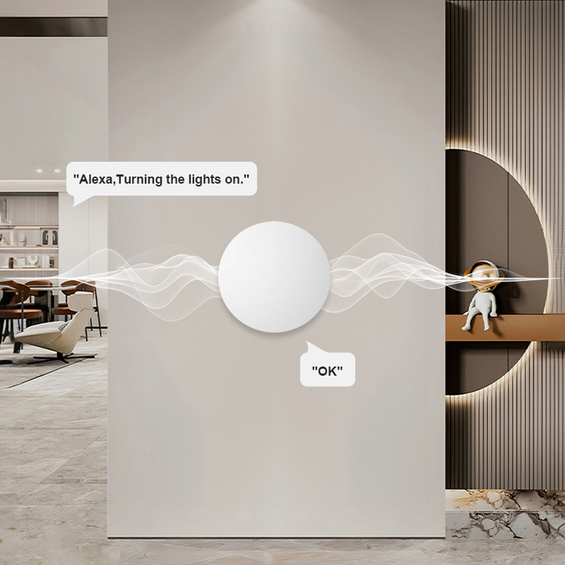 ZigBee Smart Wireless Button S - đánh giá và giá Smart Home Button
