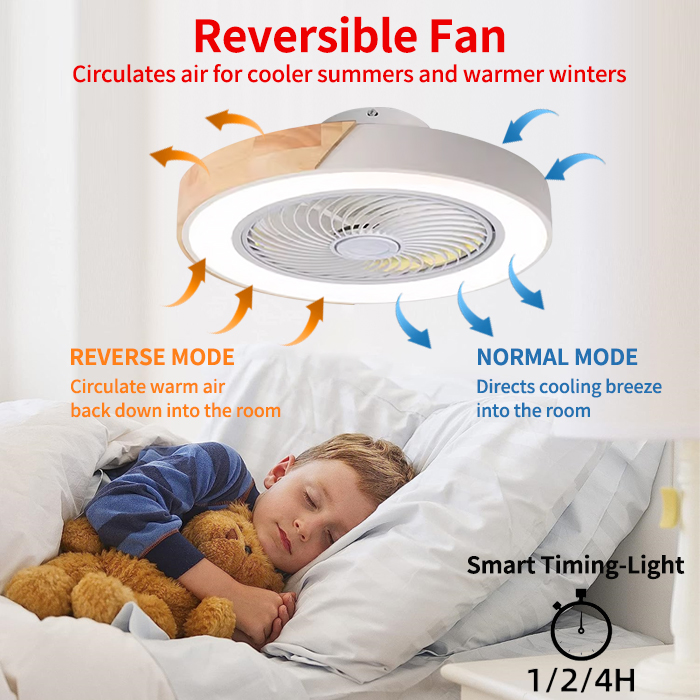 Bedroom Ceiling Fan Light, Int - đánh giá và giá Smart Ceiling Fan