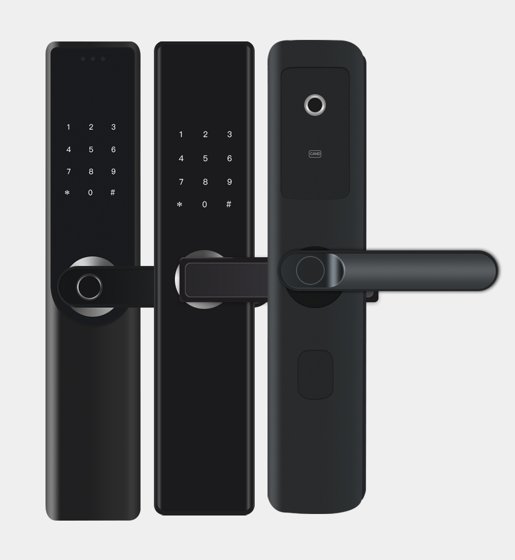 Electronic Door Lock Home WiFi - đánh giá và giá Smart Home Login