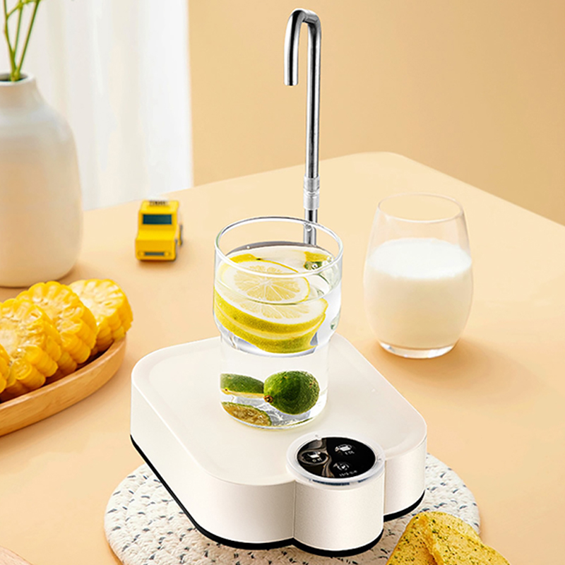 Smart Electric Water Pump Rech - đánh giá và giá Smart Home Elements