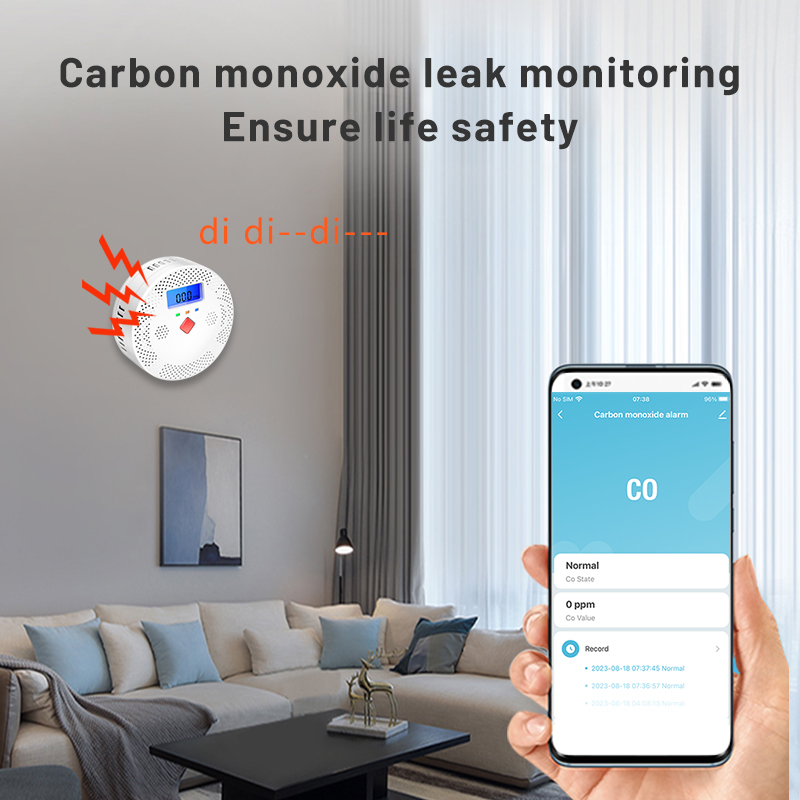 Tuya WiFi Smart Carbon Monoxid - đánh giá và giá Smart Home Theater