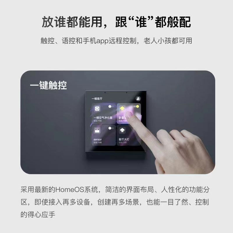 Graffiti Smart Central Control - đánh giá và giá Smart Home Control Panel